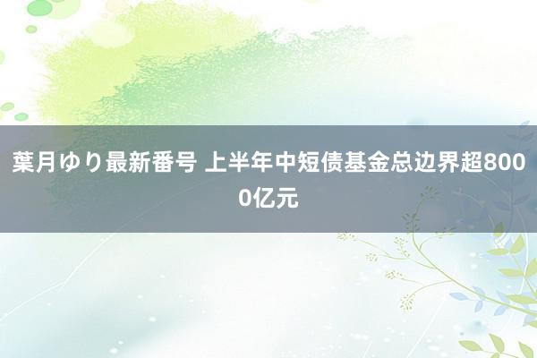 葉月ゆり最新番号 上半年中短债基金总边界超8000亿元