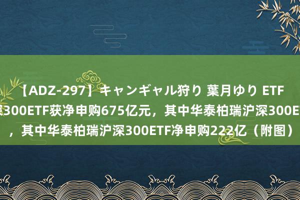 【ADZ-297】キャンギャル狩り 葉月ゆり ETF资金流向：上周4只沪深300ETF获净申购675亿元，其中华泰柏瑞沪深300ETF净申购222亿（附图）