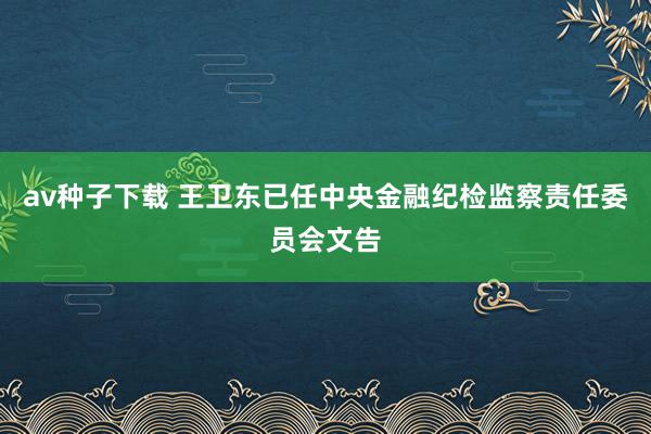 av种子下载 王卫东已任中央金融纪检监察责任委员会文告