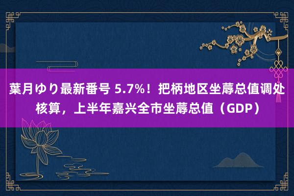 葉月ゆり最新番号 5.7%！把柄地区坐蓐总值调处核算，上半年嘉兴全市坐蓐总值（GDP）