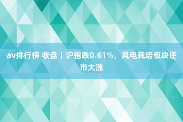 av排行榜 收盘丨沪指跌0.61%，风电栽培板块逆市大涨