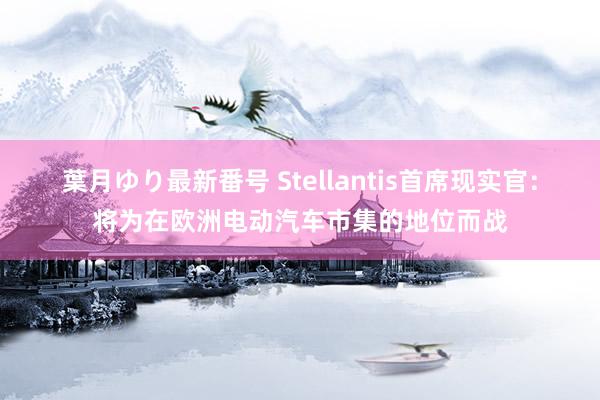 葉月ゆり最新番号 Stellantis首席现实官：将为在欧洲电动汽车市集的地位而战