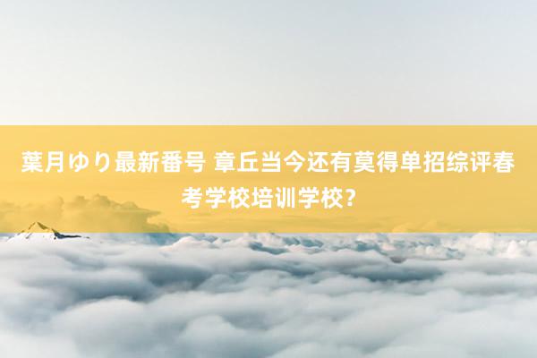 葉月ゆり最新番号 章丘当今还有莫得单招综评春考学校培训学校？