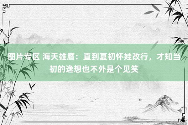 图片专区 海天雄鹰：直到夏初怀娃改行，才知当初的逸想也不外是个见笑