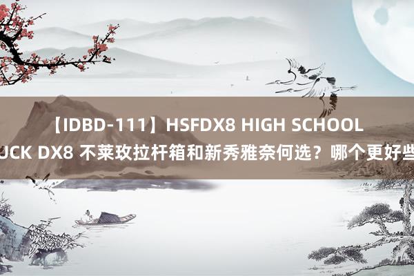 【IDBD-111】HSFDX8 HIGH SCHOOL FUCK DX8 不莱玫拉杆箱和新秀雅奈何选？哪个更好些？