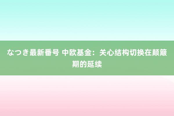 なつき最新番号 中欧基金：关心结构切换在颠簸期的延续