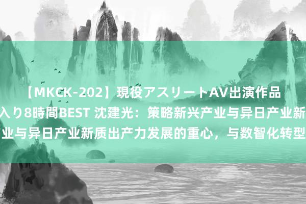 【MKCK-202】現役アスリートAV出演作品 全8TITLE全コーナー入り8時間BEST 沈建光：策略新兴产业与异日产业新质出产力发展的重心，与数智化转型具有内在一致性