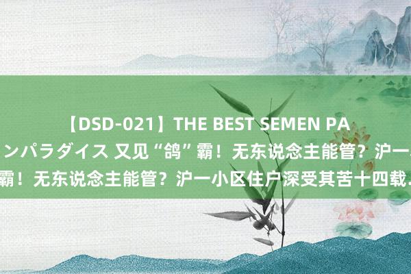 【DSD-021】THE BEST SEMEN PARADISE 美女12人とザーメンパラダイス 又见“鸽”霸！无东说念主能管？沪一小区住户深受其苦十四载……