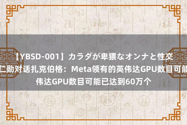 【YBSD-001】カラダが卑猥なオンナと性交 ザ★ベスト 黄仁勋对话扎克伯格：Meta领有的英伟达GPU数目可能已达到60万个