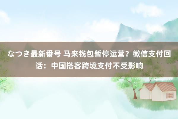 なつき最新番号 马来钱包暂停运营？微信支付回话：中国搭客跨境支付不受影响