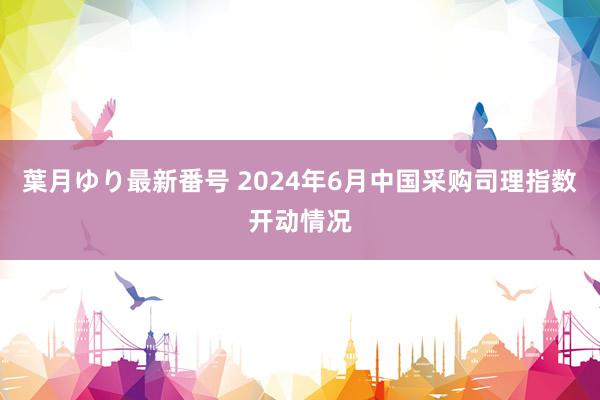 葉月ゆり最新番号 2024年6月中国采购司理指数开动情况