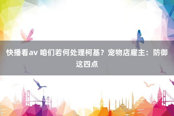 快播看av 咱们若何处理柯基？宠物店雇主：防御这四点