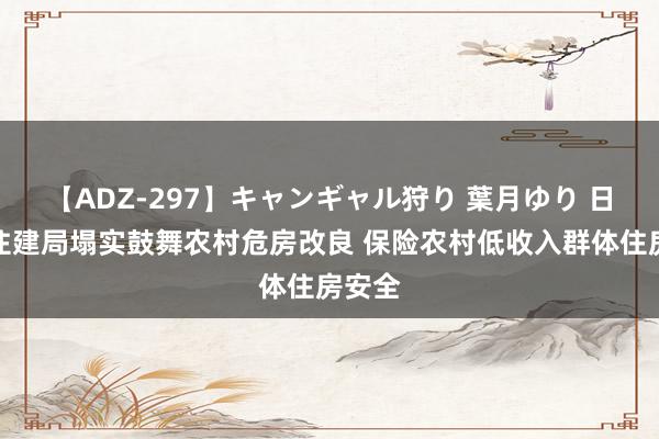 【ADZ-297】キャンギャル狩り 葉月ゆり 日照市住建局塌实鼓舞农村危房改良 保险农村低收入群体住房安全