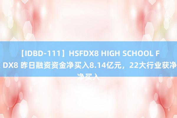 【IDBD-111】HSFDX8 HIGH SCHOOL FUCK DX8 昨日融资资金净买入8.14亿元，22大行业获净买入