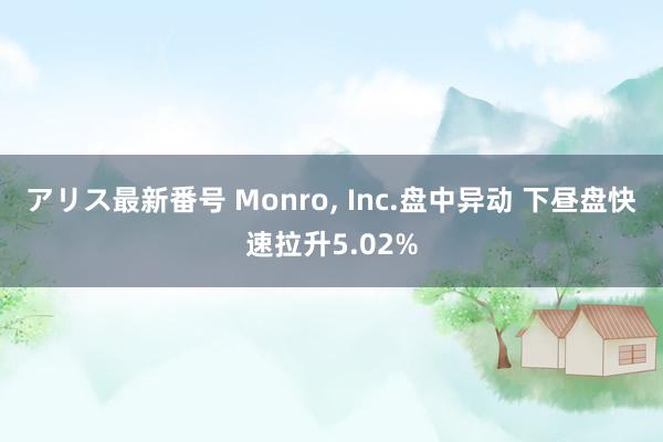 アリス最新番号 Monro, Inc.盘中异动 下昼盘快速拉升5.02%