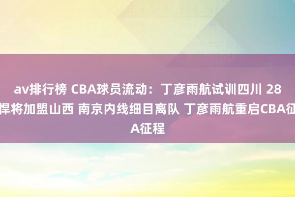 av排行榜 CBA球员流动：丁彦雨航试训四川 28岁悍将加盟山西 南京内线细目离队 丁彦雨航重启CBA征程