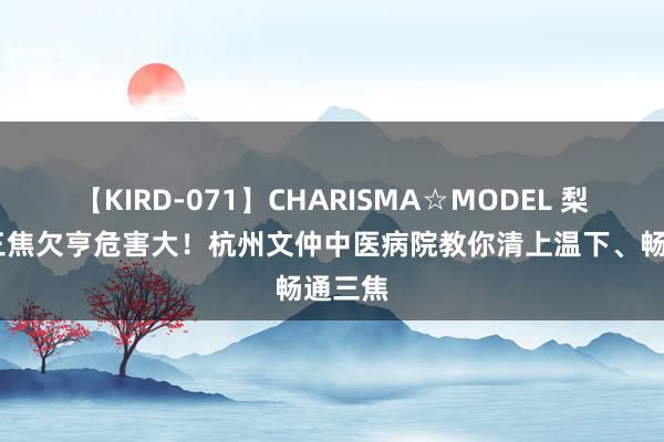 【KIRD-071】CHARISMA☆MODEL 梨々花 三焦欠亨危害大！杭州文仲中医病院教你清上温下、畅通三焦