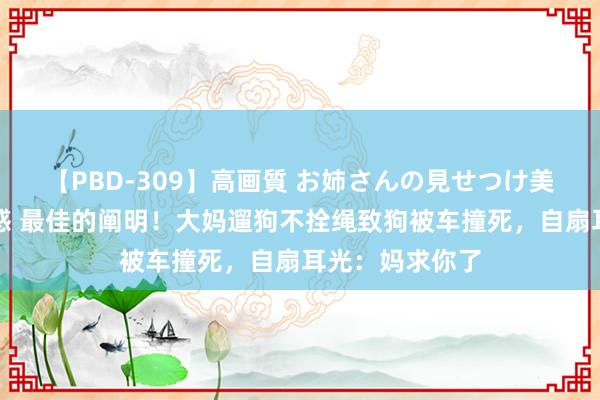 【PBD-309】高画質 お姉さんの見せつけ美尻＆美脚の誘惑 最佳的阐明！大妈遛狗不拴绳致狗被车撞死，自扇耳光：妈求你了