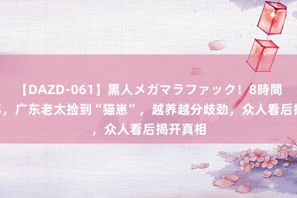 【DAZD-061】黒人メガマラファック！8時間 2020年，广东老太捡到“猫崽”，越养越分歧劲，众人看后揭开真相