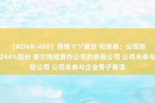 【ADVR-480】発情マゾ愛奴 和而泰：公司抓有摩尔线程1.244%股份 摩尔线程算作公司的参股公司 公司未参与企业骨子筹谋