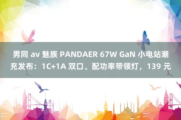 男同 av 魅族 PANDAER 67W GaN 小电站潮充发布：1C+1A 双口、配功率带领灯，139 元