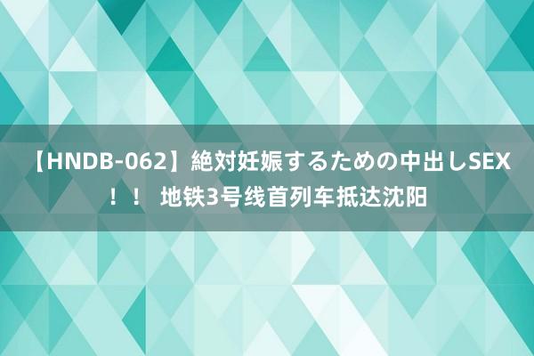 【HNDB-062】絶対妊娠するための中出しSEX！！ 地铁3号线首列车抵达沈阳